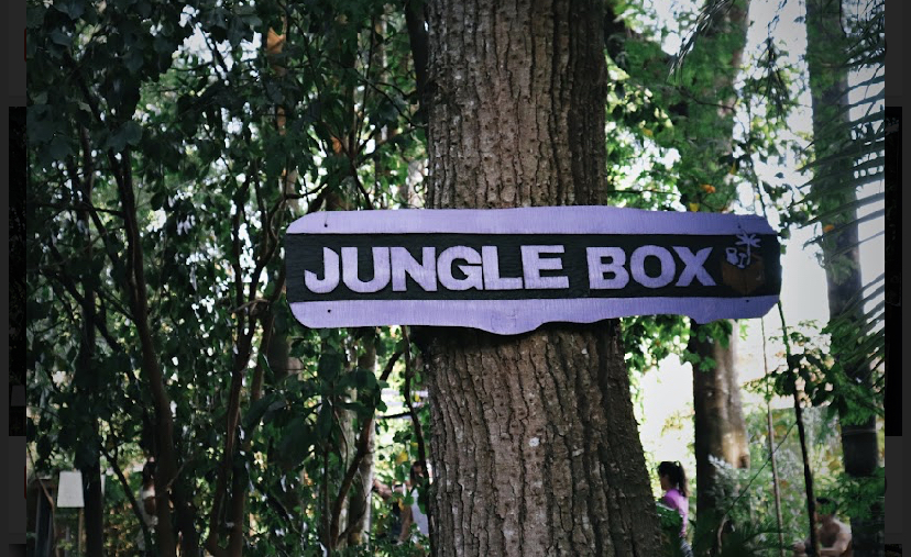 “JUNGLE BOX” + “CRECIENDO JUNTOS”